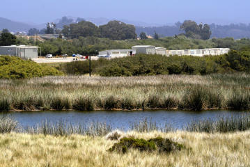 Lagoon view from rear deck