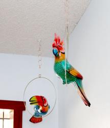 Say Hello to The Birds